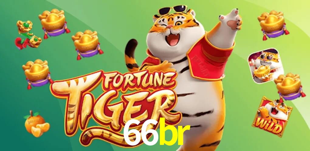 Responsive Design 66br